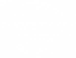 Forest city